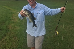 More Bass than Birdies