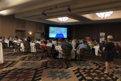 auction-video