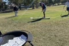 Chipping-Challenge-Partridge